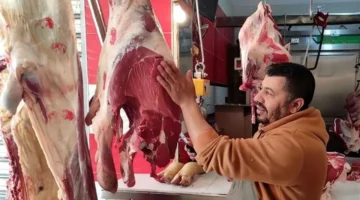 الحكومة تطرح لحومًا وسلعًا بخصم 25 بالمئة في المحافظات قبل عيد الأضحى